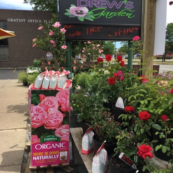Drew's Garden - Nurseries & Gardening Near Me - Eastpointe, Michigan Drew's Garden - Nurseries & Gardening Near Me - Eastpointe, Michigan