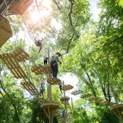 Go Ape