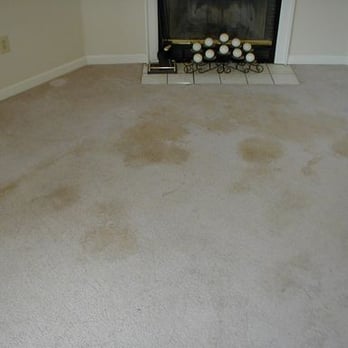 Organic Carpet Care - Austin Carpet cleaning - Carpet Cleaning Near Me - Austin, Texas Organic Carpet Care - Austin Carpet cleaning - Carpet Cleaning Near Me - Austin, Texas