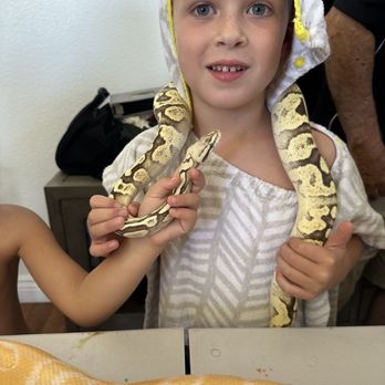 For Goodness Snakes - Performing Arts Near Me