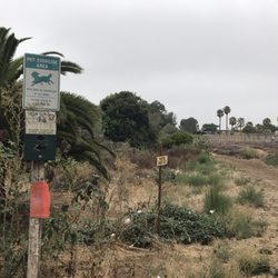 Off Leash Dog Trail