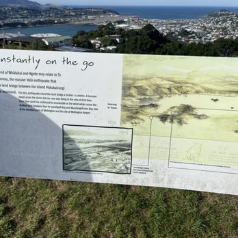 Mount Victoria Lookout - Earthquakes - Local Flavor Near Me - Wellington, WGN