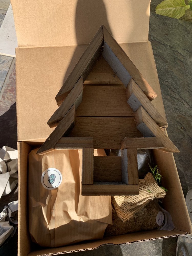 PLANTED PLACES Updated September 2024 20 Photos Los Gatos