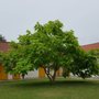 Photo of Campingplatz der Gemeinde Sand a. Main