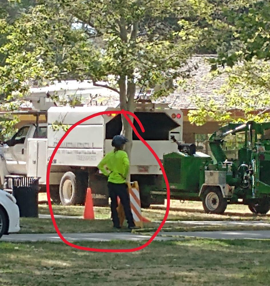 Rivendell Tree Experts - tree service in Lehi, UT