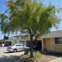 Photo of One Two Tree Care