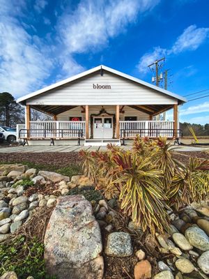 Bloom Roadside by null