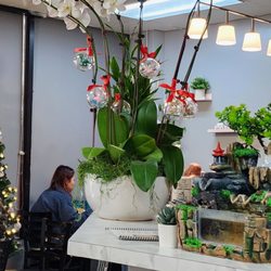 Luyixian - Beautiful Flower arrangement