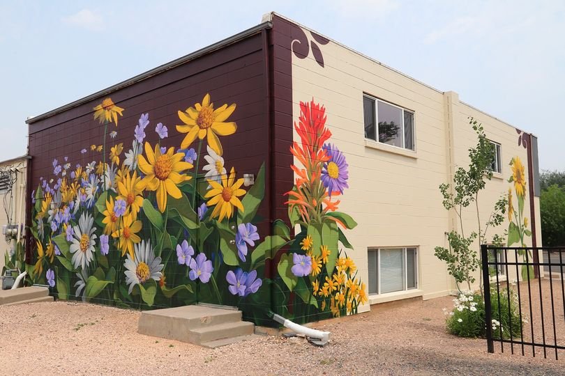 The Clinic For Mental Health and Wellness - grief counselor in Laramie, WY