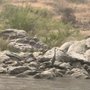 Photo of Snake River Adventures