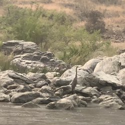 Snake River Adventures