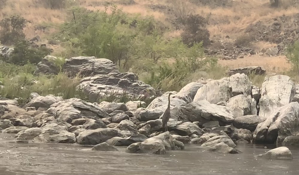 Social spots from Snake River Adventures