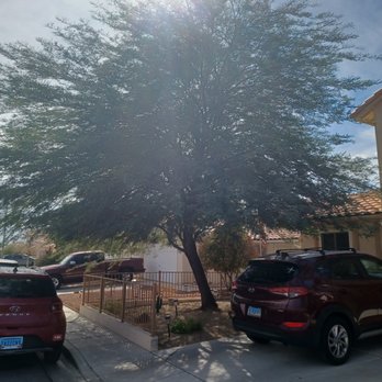 WestCo Tree Service - This is the tree I want to trim. - Tree Services Near Me WestCo Tree Service - This is the tree I want to trim. - Tree Services Near Me