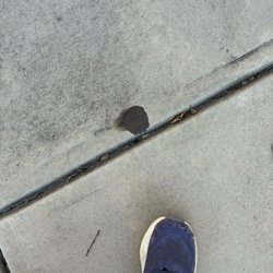 Grease Monkey - Oil stain from improper install