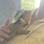 Photo of Exotic Envy Reptiles
