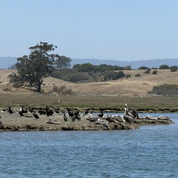 Monterey Bay Eco Tours - Boat Tours Near Me - Moss Landing, California Monterey Bay Eco Tours - Boat Tours Near Me - Moss Landing, California