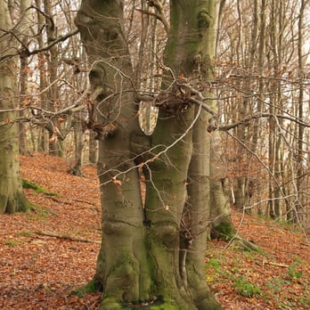 Reher Heide - Active Life Near Me - Iserlohn, NW