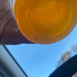 McDonald's - So I got something to drink from here and seen something floating in my drink, looked closely and it's a dead ant