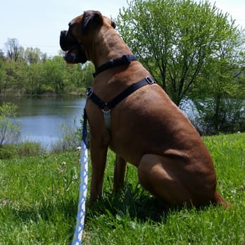 Dog Treks - Dog Walkers Near Me - Attleboro, Massachusetts Dog Treks - Dog Walkers Near Me - Attleboro, Massachusetts