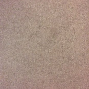 Mount Coolidge Motel - Brown/black stains on carpet. Suspected mold - Hotels Near Me - Lincoln, New Hampshire Mount Coolidge Motel - Brown/black stains on carpet. Suspected mold - Hotels Near Me - Lincoln, New Hampshire