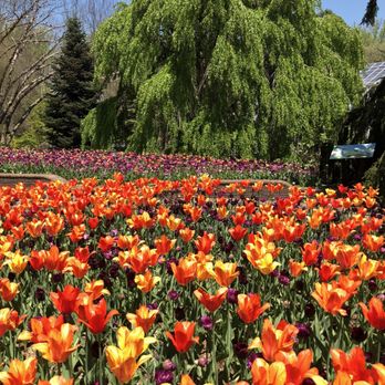 Brookside Gardens  - Botanical Gardens Near Me - Wheaton, Maryland