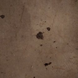 Mr Rooter Plumbing & Drain Cleaning