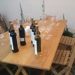 Tienda de Vino Vinísfera