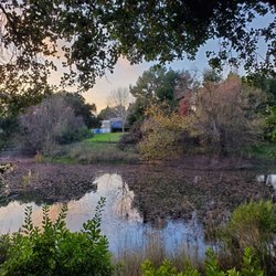 Overfelt Gardens Park - Pond/views