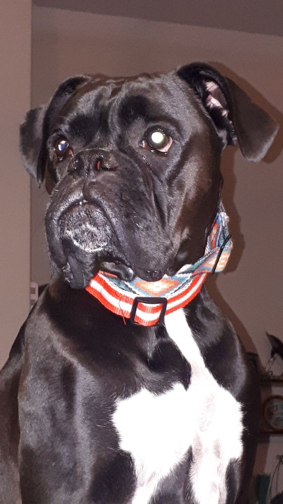 ASPEN TRAILS VETERINARY CLINIC Updated September 2024 3890 Sherwood