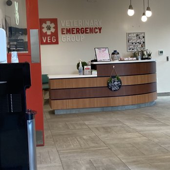 VEG ER for Pets - Lobby area. - Emergency Pet Hospital Near Me - Alpharetta, Georgia VEG ER for Pets - Lobby area. - Emergency Pet Hospital Near Me - Alpharetta, Georgia