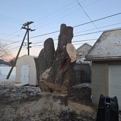 KD Tree Service - Precision matters in large tree removal. 
Safely done with zero damage, professional results every time.