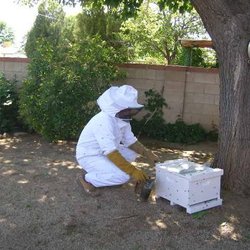 ABC Pest Management Services - untitled