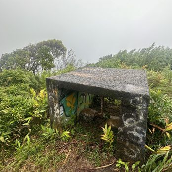 Puu Ohia Trail - Hiking Near Me - Honolulu, Hawaii