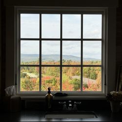 Cellardoor Winery - View from the restroom window