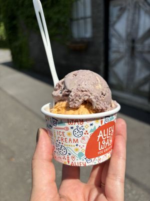 Alleyway Ice Cream by null