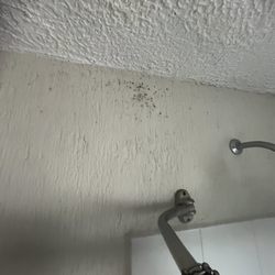 Hotel Rio Puerto Vallarta - More mold