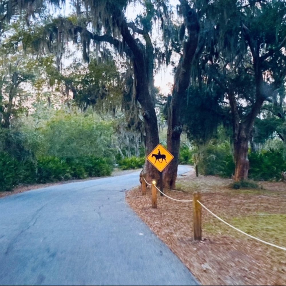 Clam Creek Picnic Area - Clam Creek Picnic Area - Parks Near Me
