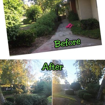 Low Cost Landscaping - Tree Services Near Me Low Cost Landscaping - Tree Services Near Me