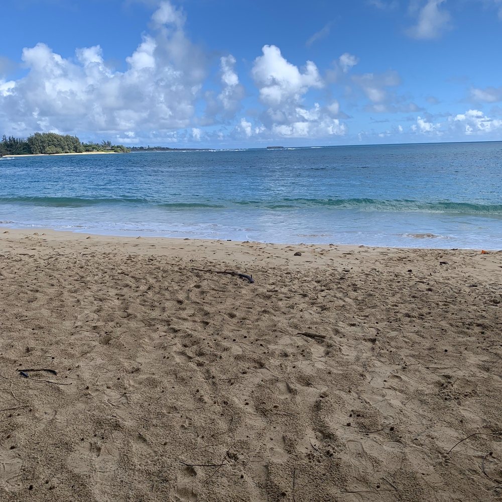 Beautiful beach! It was a wonderful drive getting there.