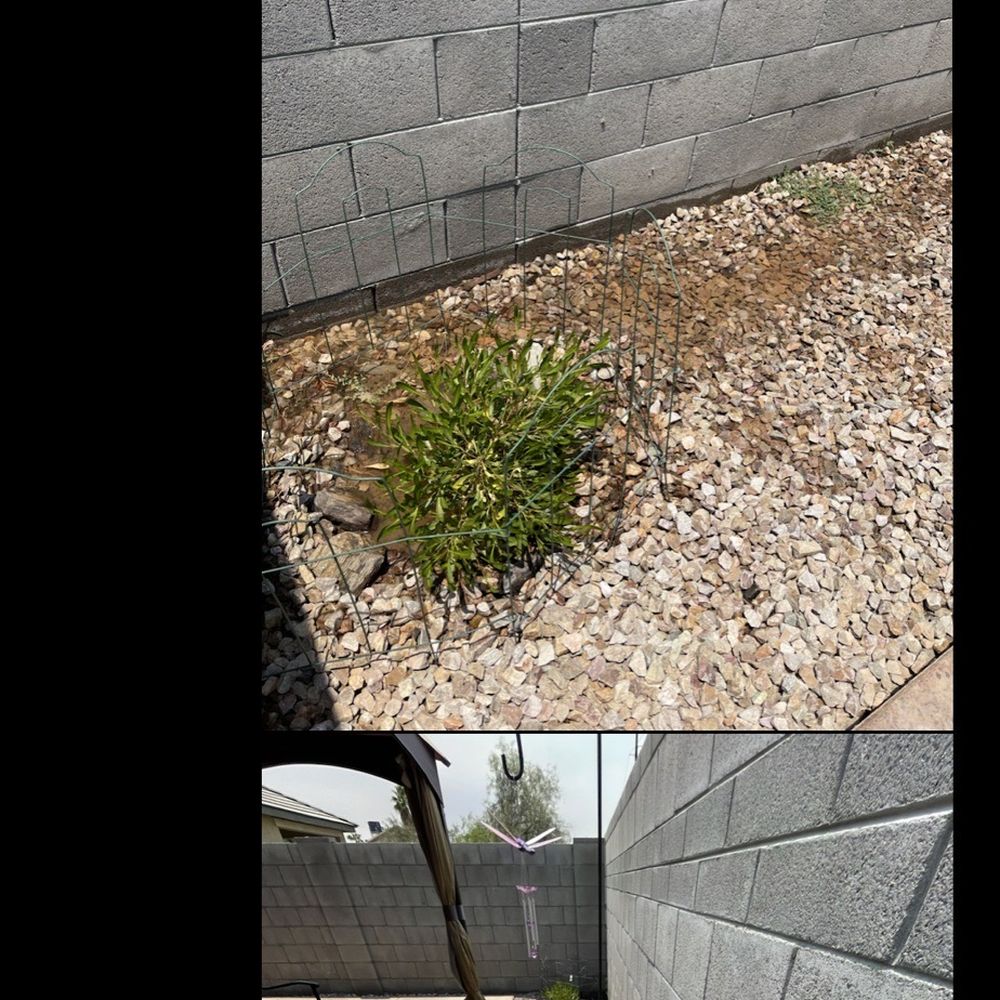 Divine Evolution Landscaping - Screen 6 text - Landscaping Near Me Divine Evolution Landscaping - Screen 6 text - Landscaping Near Me
