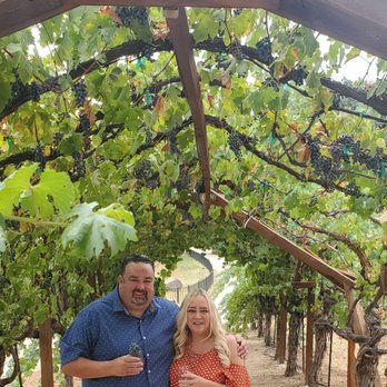 Young's Vineyard - Wineries Near Me - Plymouth, California Young's Vineyard - Wineries Near Me - Plymouth, California