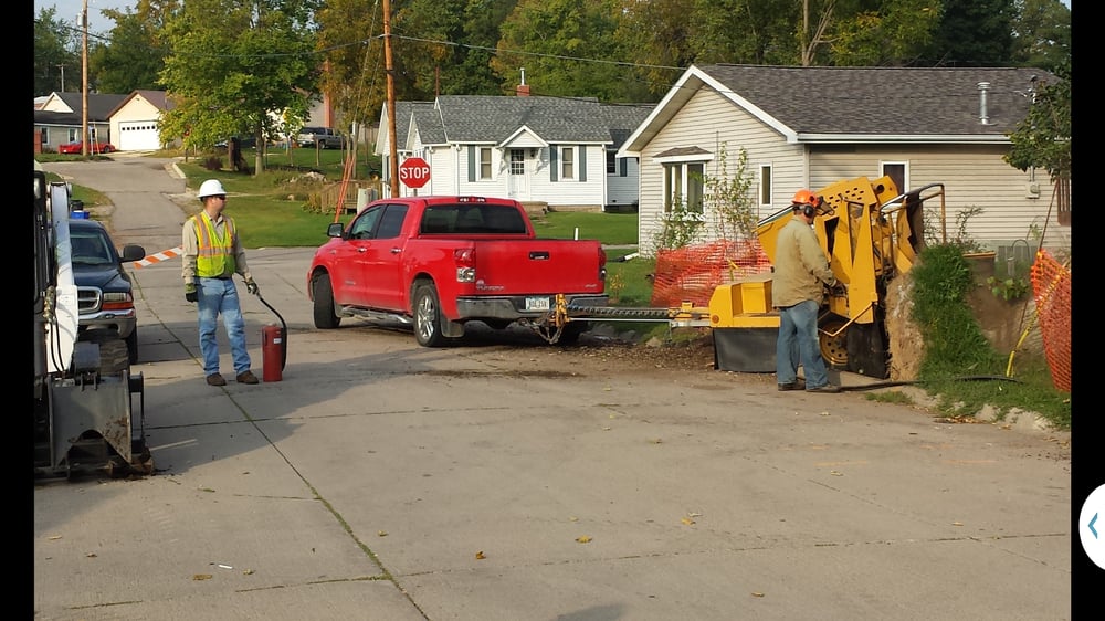 Cy's Tree Service - tree service in Anamosa, IA