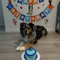 Blue's 4th Bday!