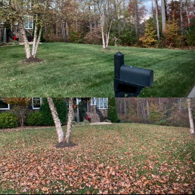 Lawn Care - Lawn Mowing services include: Cutting, Edging, Bagging, and Blowing.