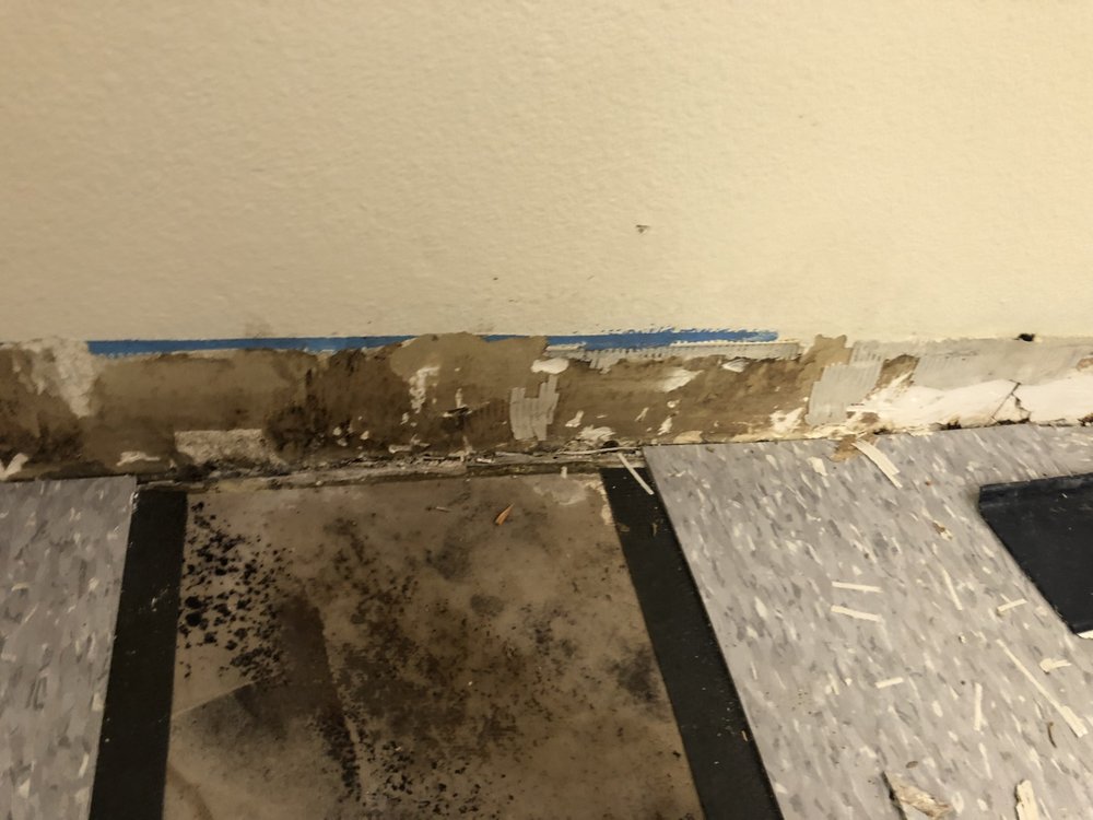 MLA Environmental - mold inspector in Palm Desert, CA