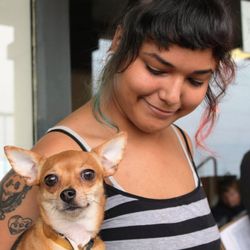 Texas Coalition for Animal Protection
