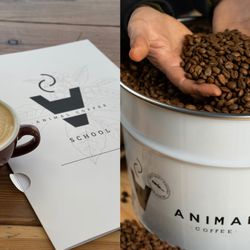 Animal Coffee - Café con latte art en uno de los cursos de Animal Coffee a la izquierda y lata de café tostado a la derecha