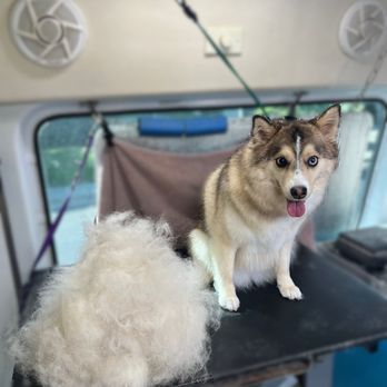 Yee Paw Mobile Groomin’ - Pet Groomers Near Me Yee Paw Mobile Groomin’ - Pet Groomers Near Me