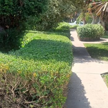 Jimenez Landscaping - a sidewalk in front of a house - Landscaping Near Me Jimenez Landscaping - a sidewalk in front of a house - Landscaping Near Me