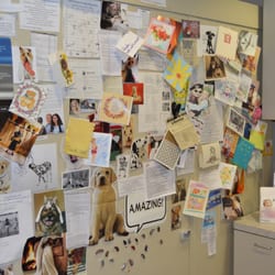 Scottsdale Ear Nose and Throat - Notes of appreciation for Audiologist Deb Hamila.